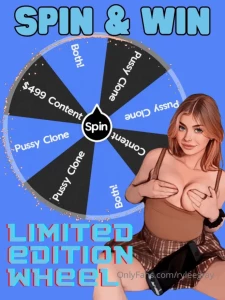 Birthday wheel 48 hours only tip 10 for one spin or 15 for two
