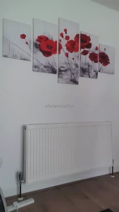 New underwear set think you gonna like this one