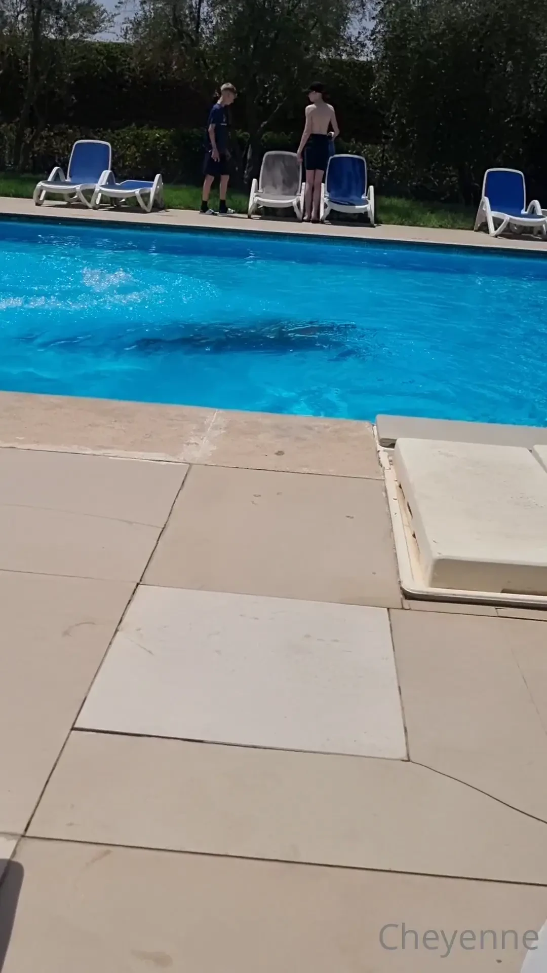 Having a dive 