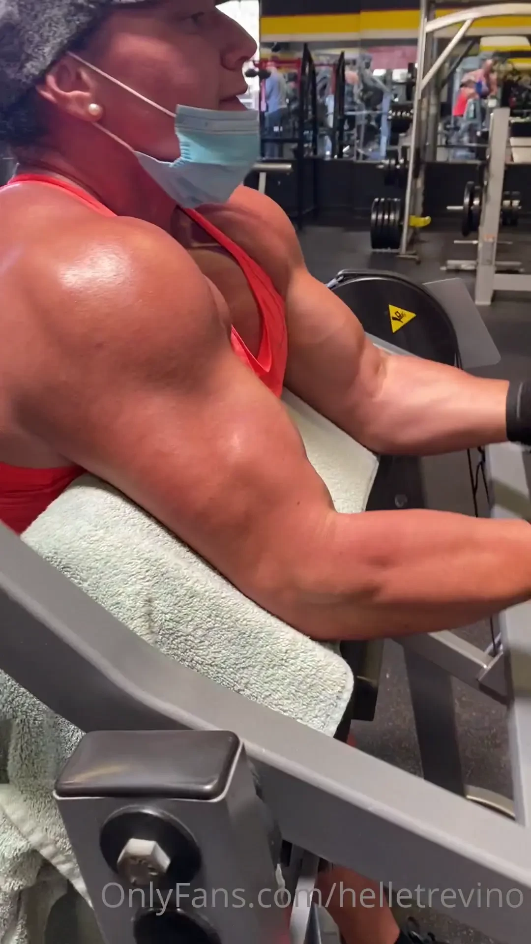 Arm day 4x8-12 scot curl machine 4x12-15 rope pushdowns 4x8-10 part 1 