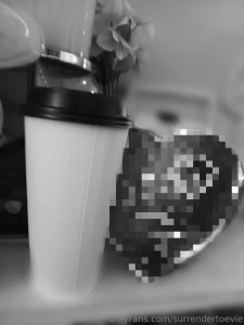 You don t have a wife to spoil and pamper on valentine s day silly