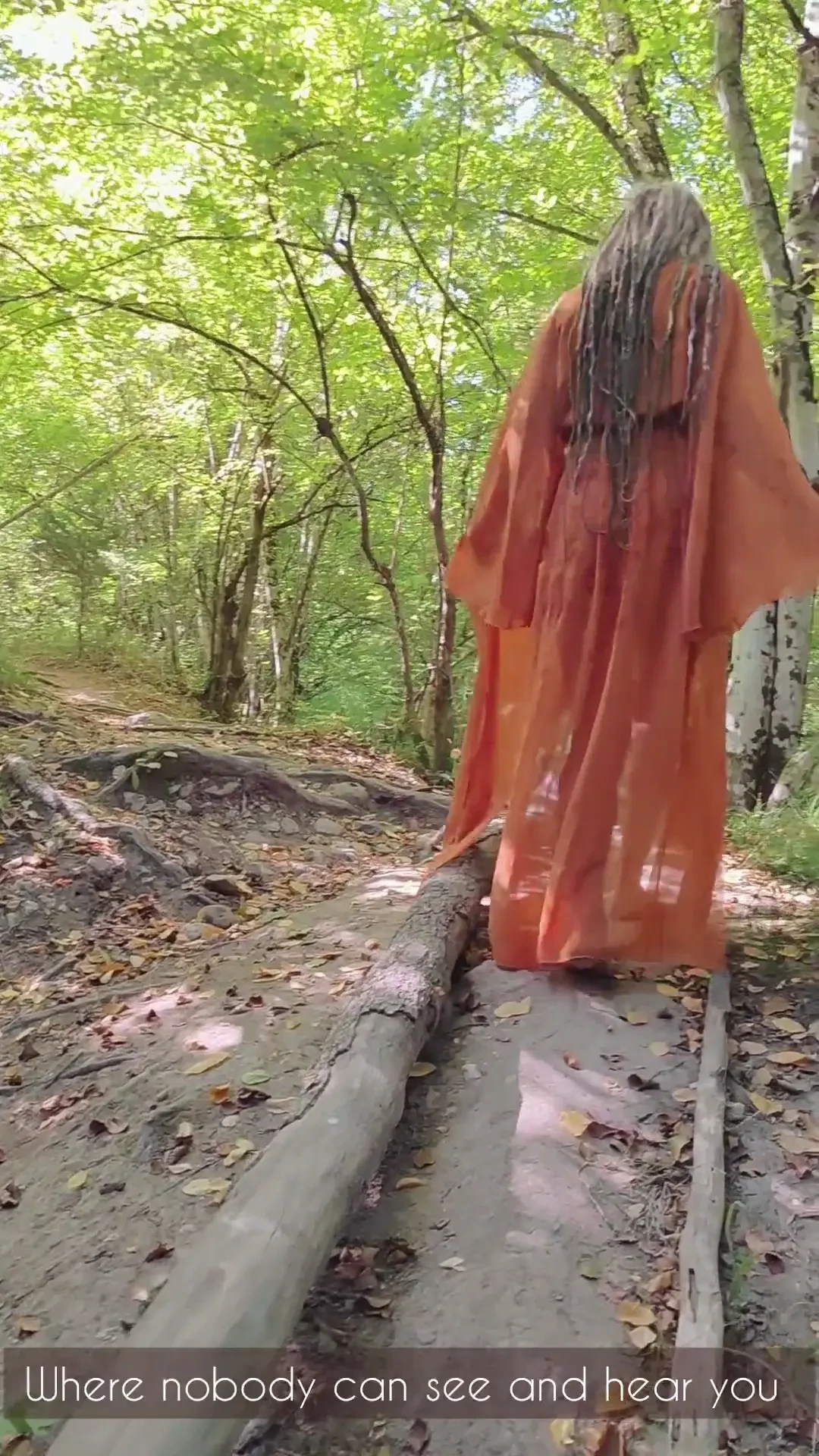 Distract from the daily routine and walk through the summer forest 