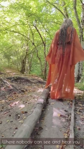 Distract from the daily routine and walk through the summer forest