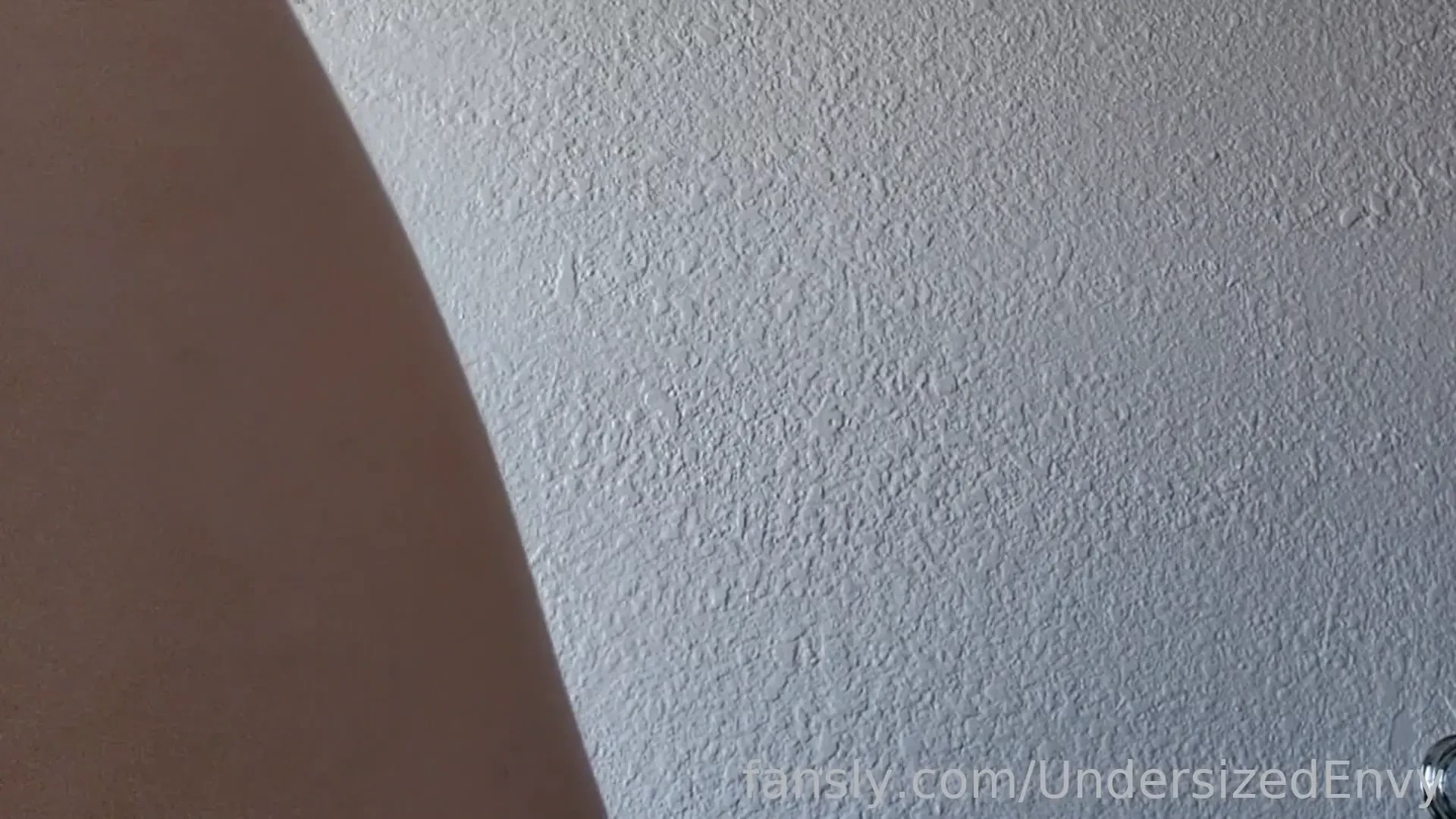 The grass is finally green and the trees are getting their leaves i 