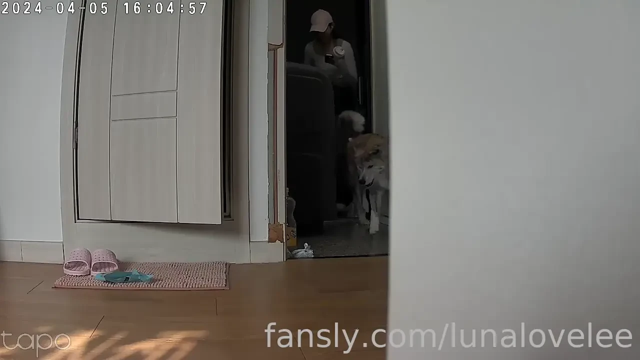 Hey there i d love to share this adorable habit of my furry friend 