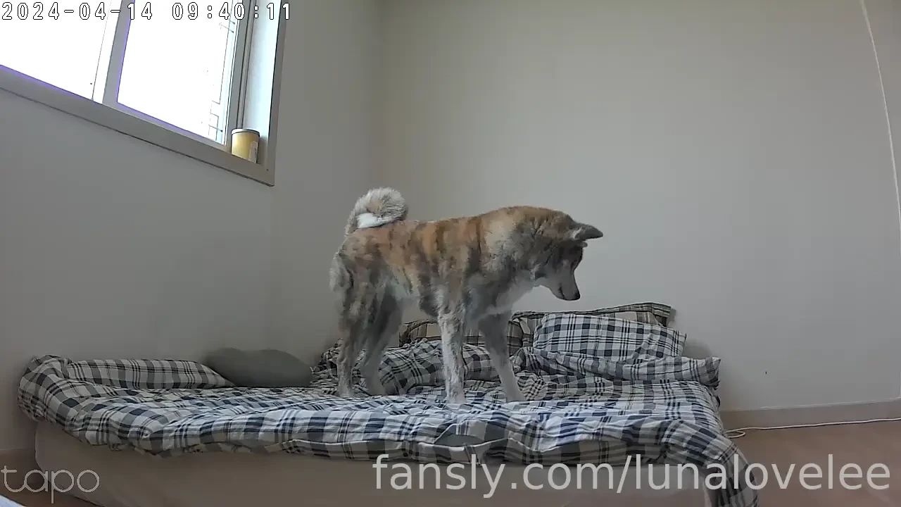 Hey there folks i just have to share this adorable moment with you all 