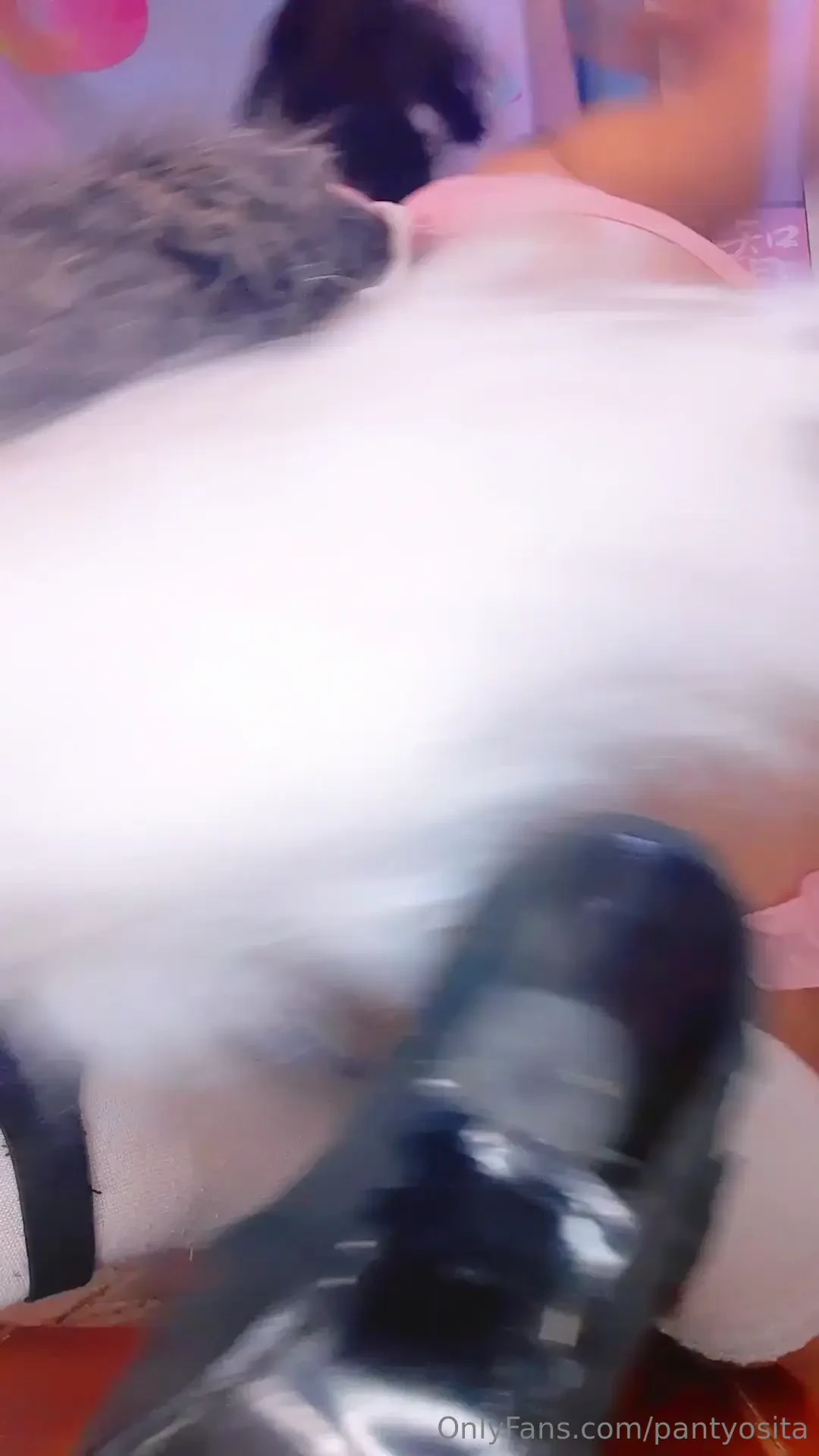 Vista desde atr s de tu perrita caminando part 1 