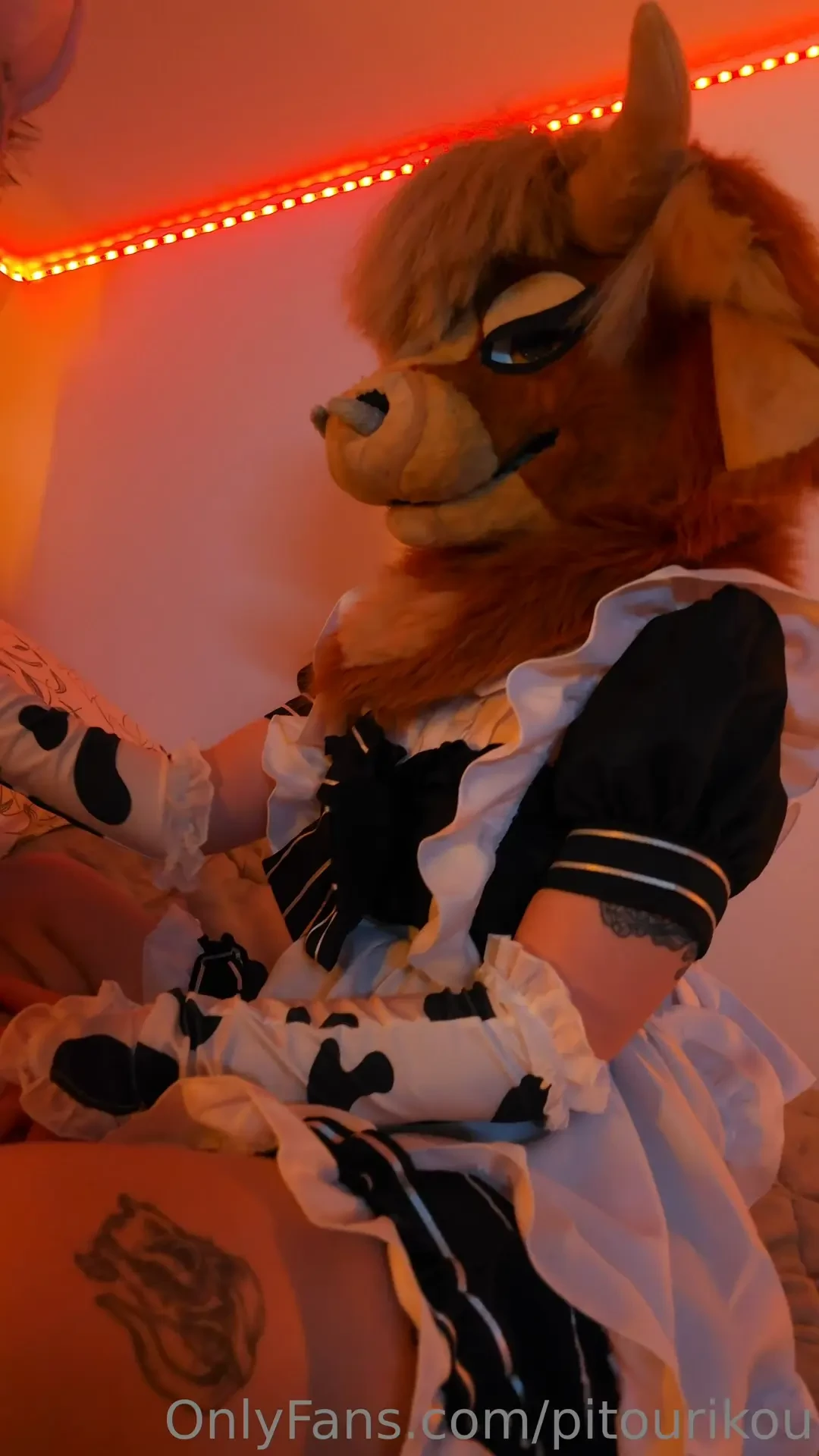 Athor rubbing my bulge tacos is horny with kahkinoo 