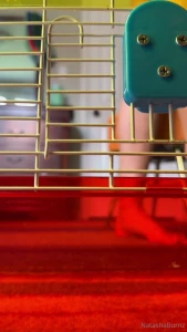 Giantess tasha comes home to her pet has her worship her giant feet