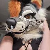 hellhoundxo