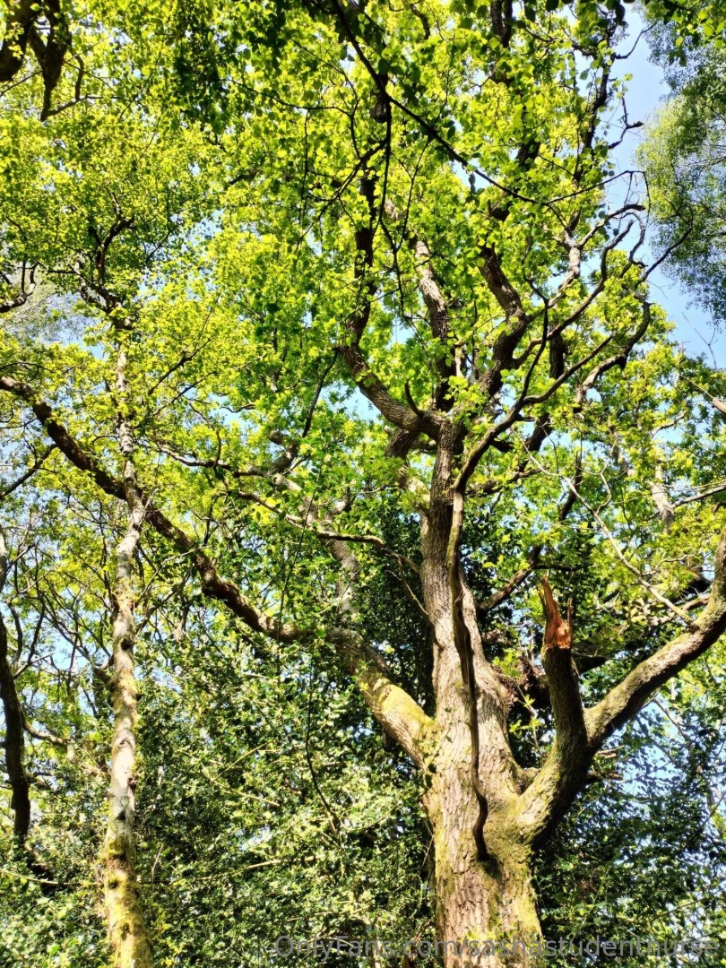 You might not think this is the most exciting pic i ve posted but you 