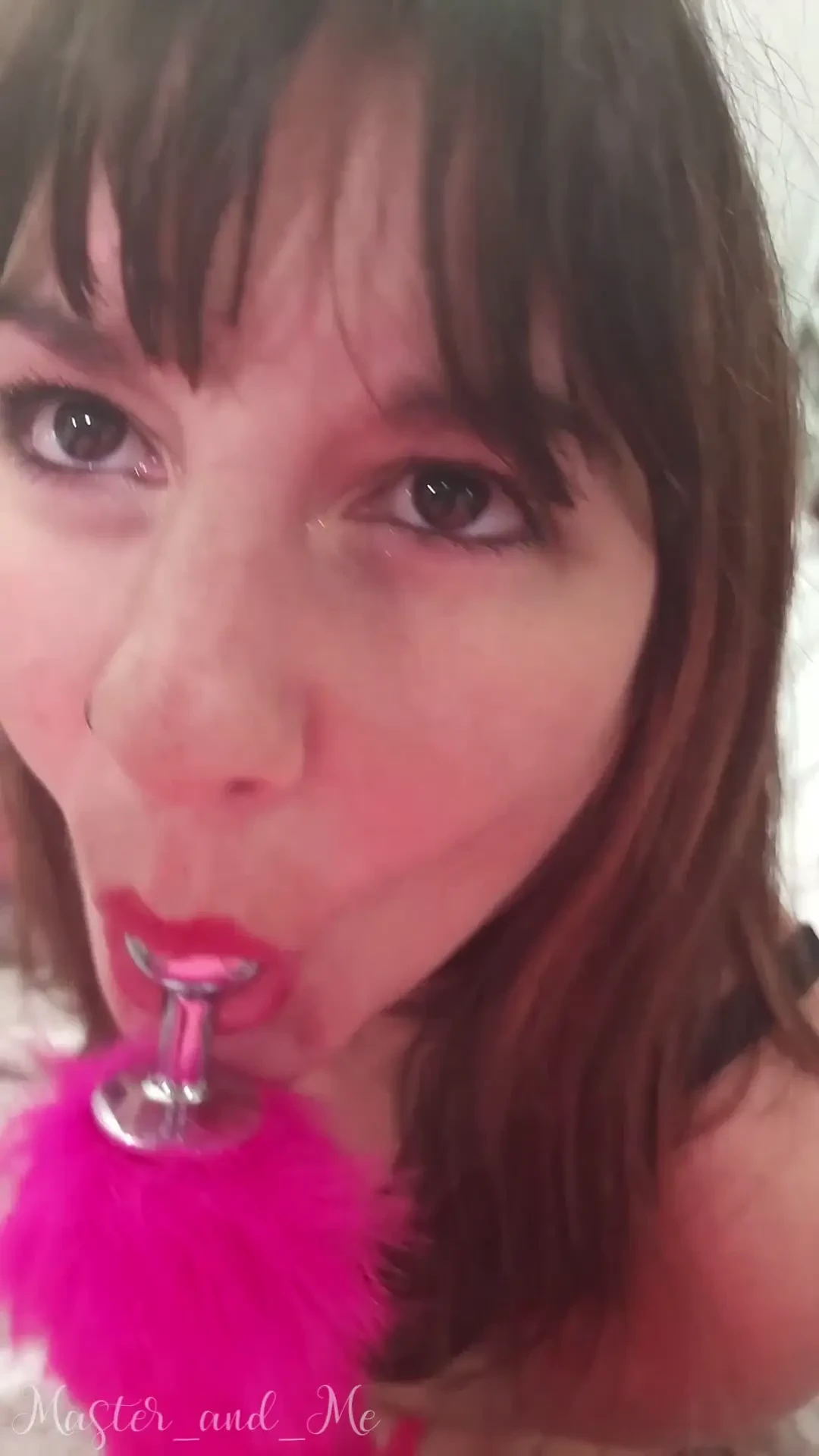 Throwback thursday do you remember when i got my first tail collar amp 