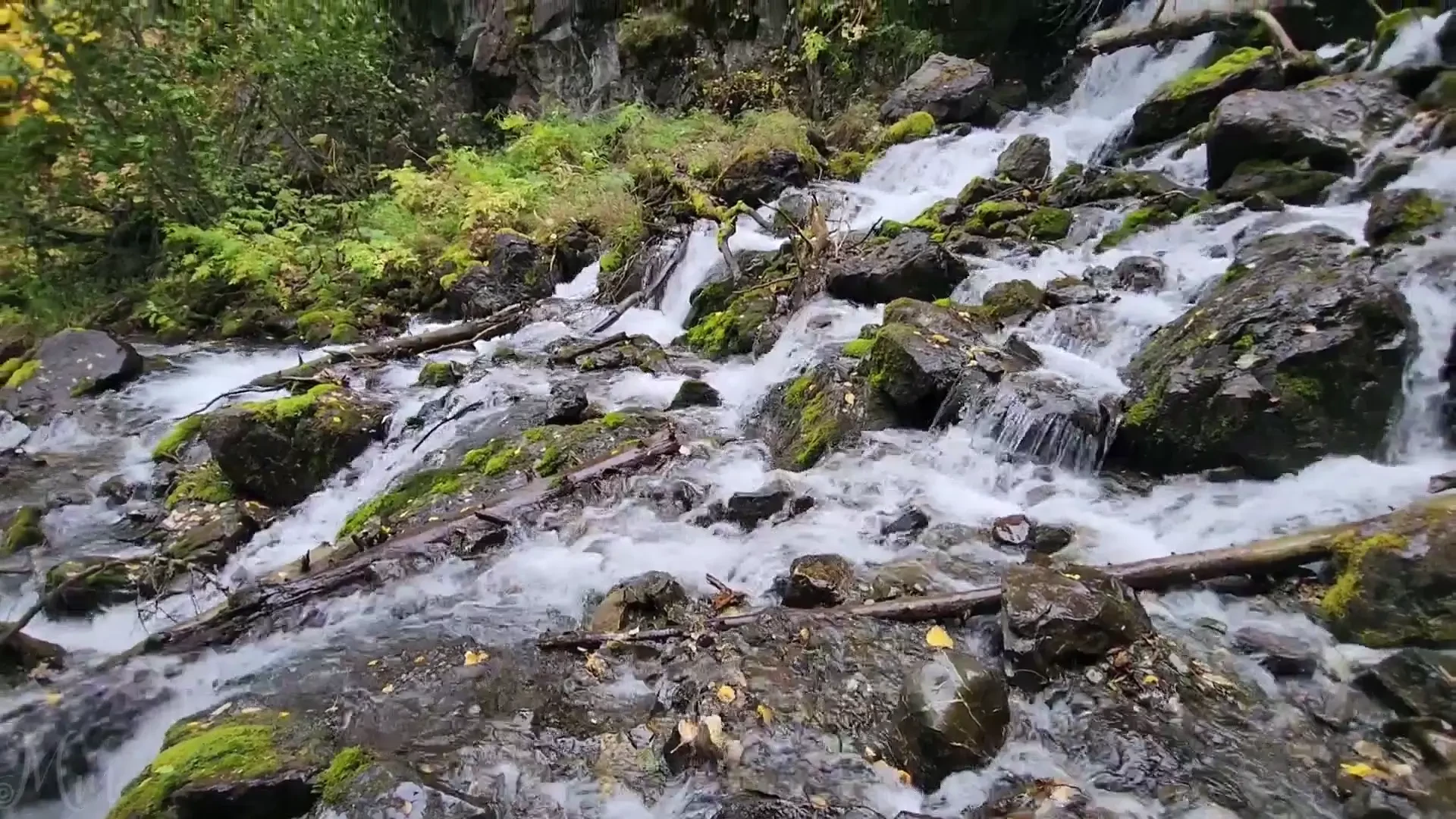 Having her boyfriend cum in my pussy while master blew his huge load 