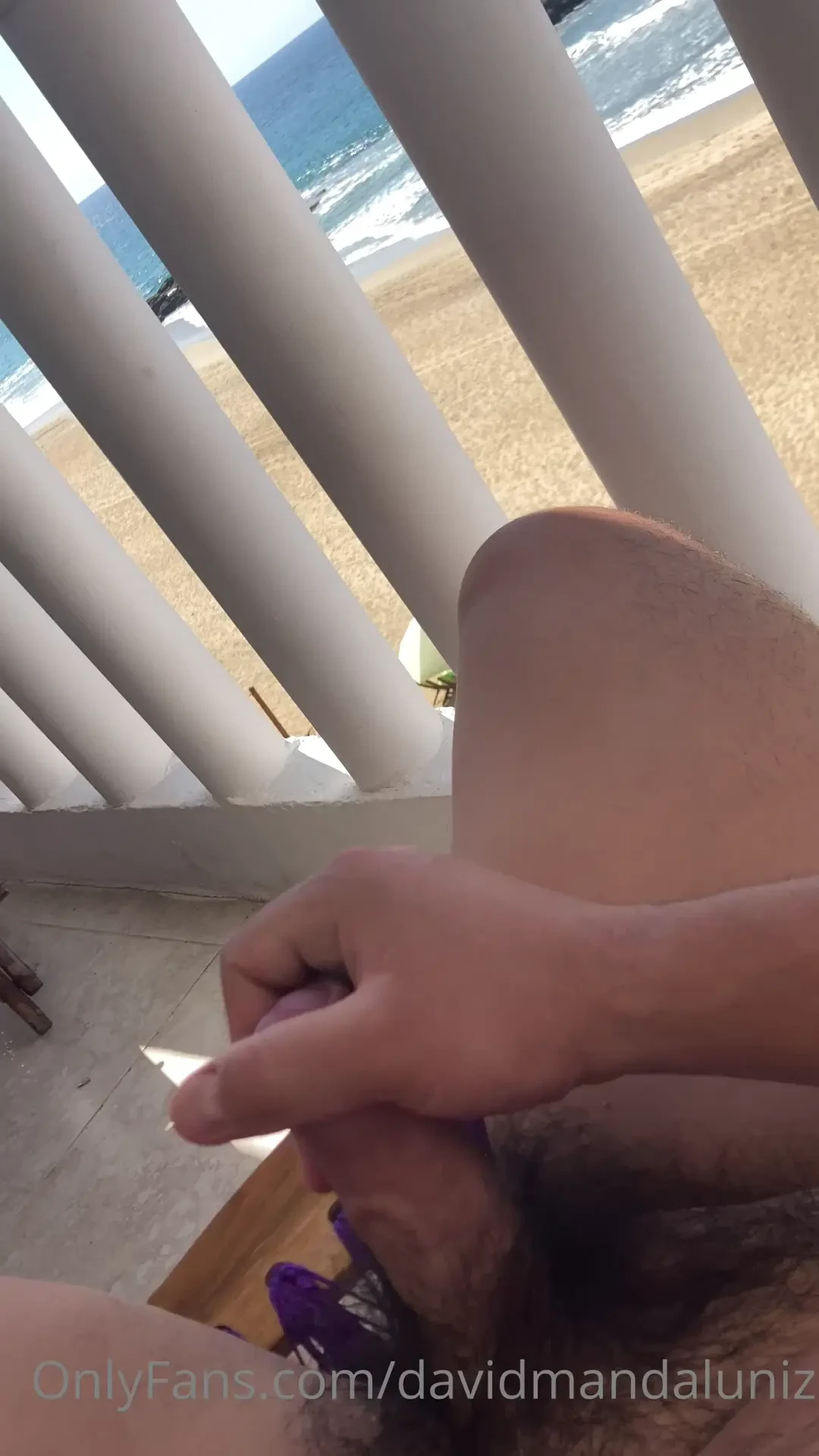 Buenos y peluditos d as zipolite 