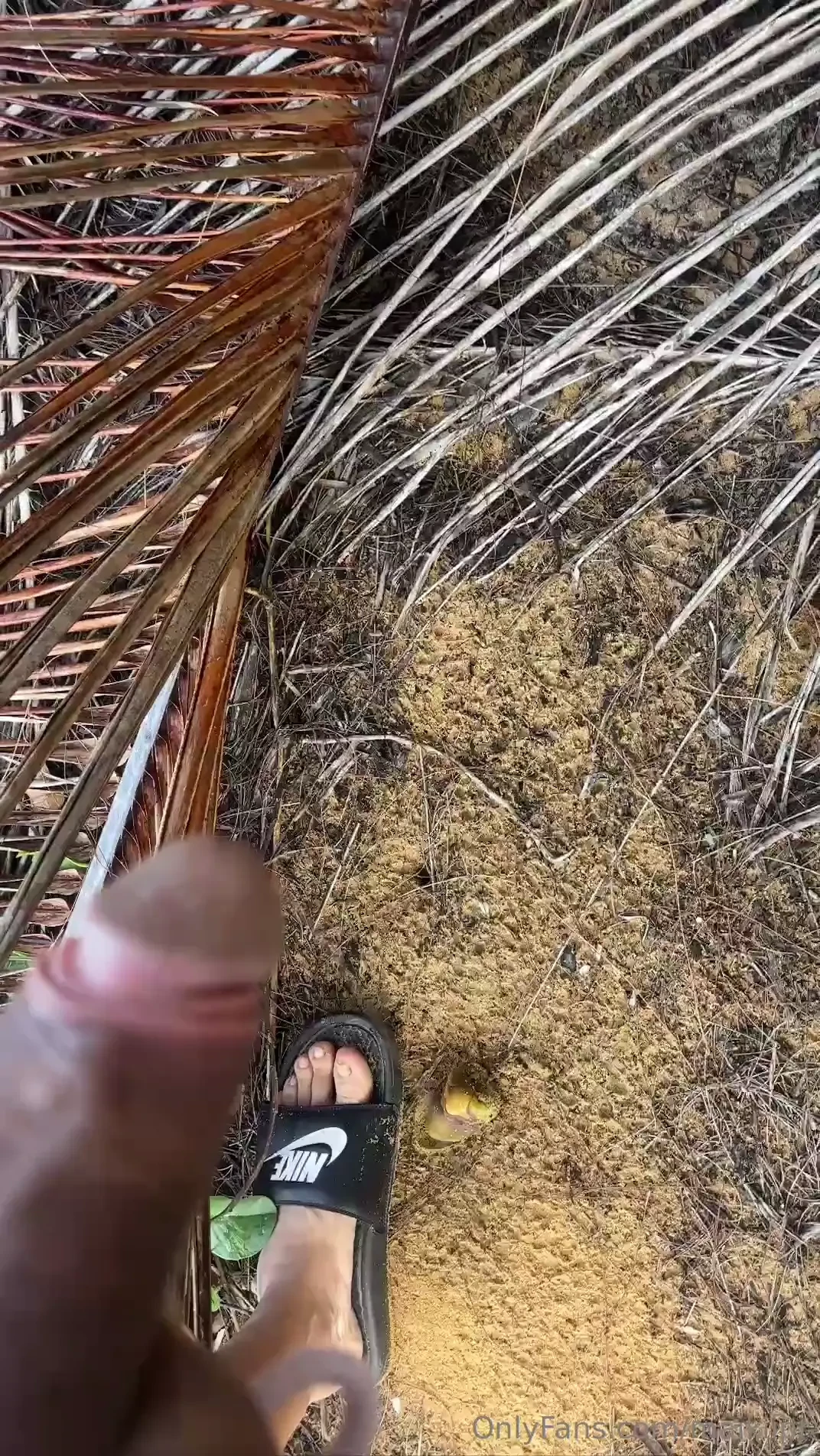 Bet you won t open that dm 