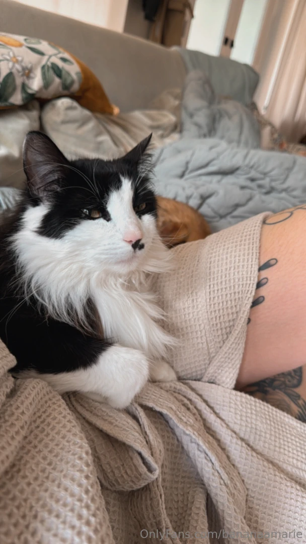 Good morning from louis 