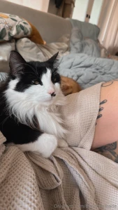 Good morning from louis