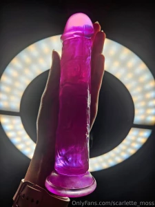 One rule for this toy ass only