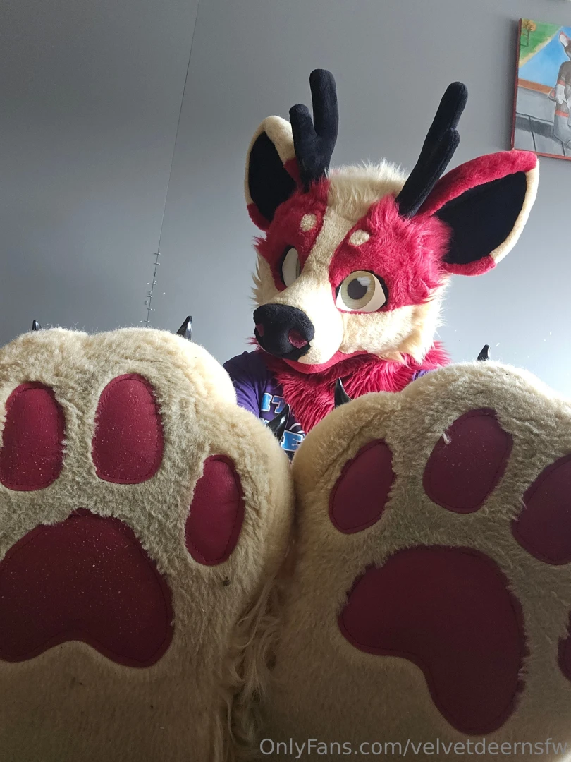 Want some paws 