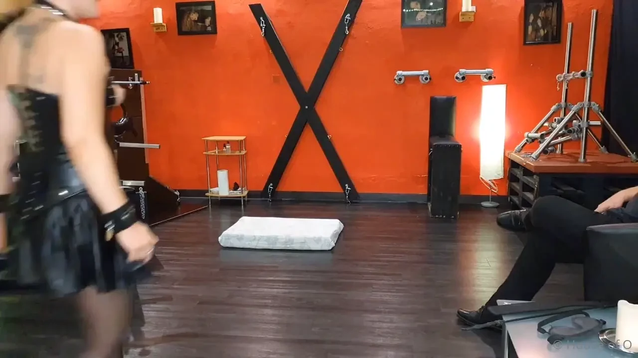 Lerninhalte berpr fen ihr d rft mal m uschen spielen wie der herr 