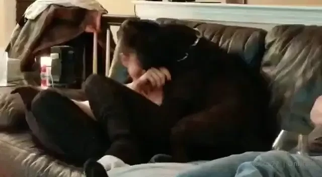 Today is one of those days i really miss not having any doggies here 