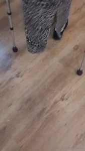 I m getting better at the crutching it s making my hands a little sore