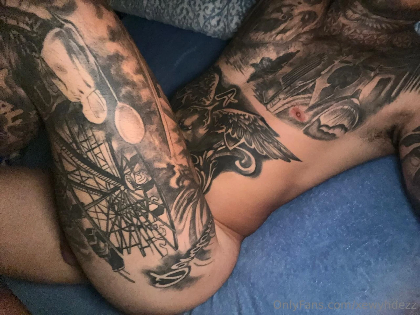 Ayer a la noche despu s de una sequ a por fin el depredador caz a una 