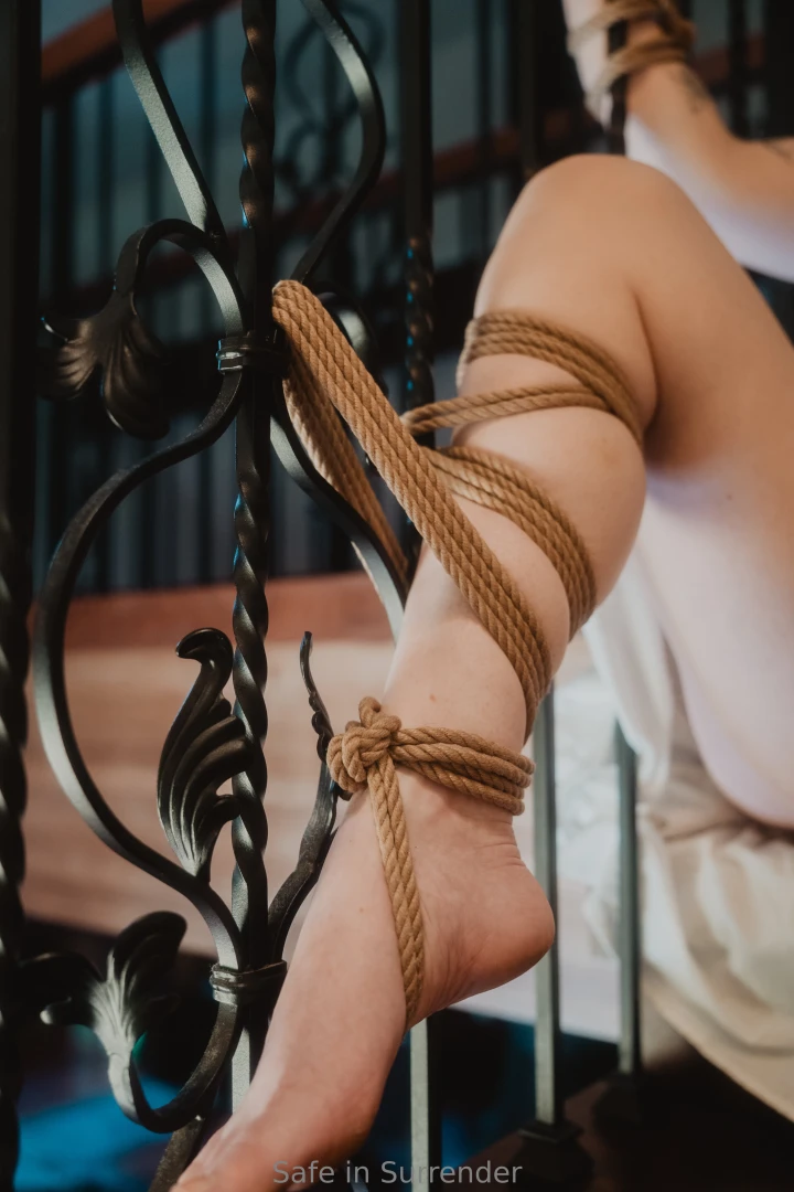 The damsel rope by the sweetest pea of them all han_demonium 
