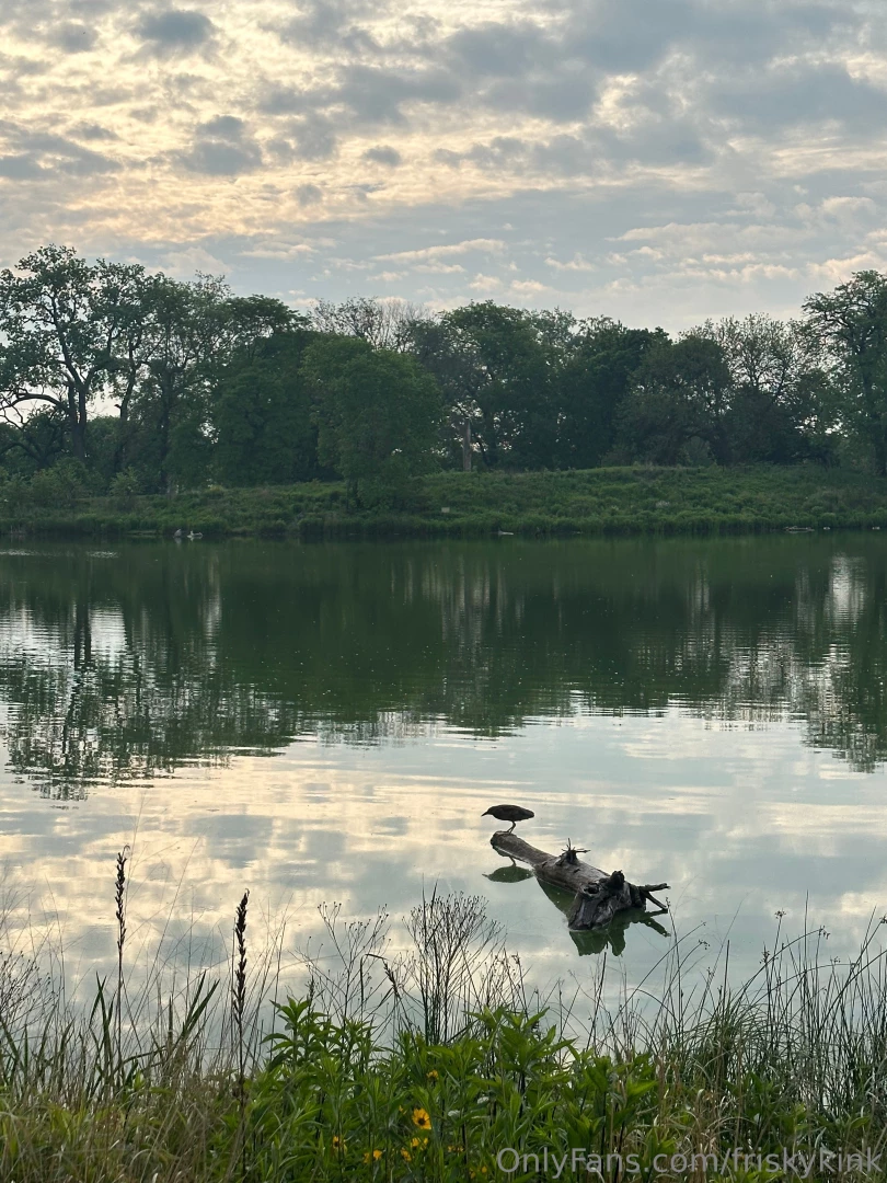 Beautiful friday morning walk a little on off to start your morning it part 1 