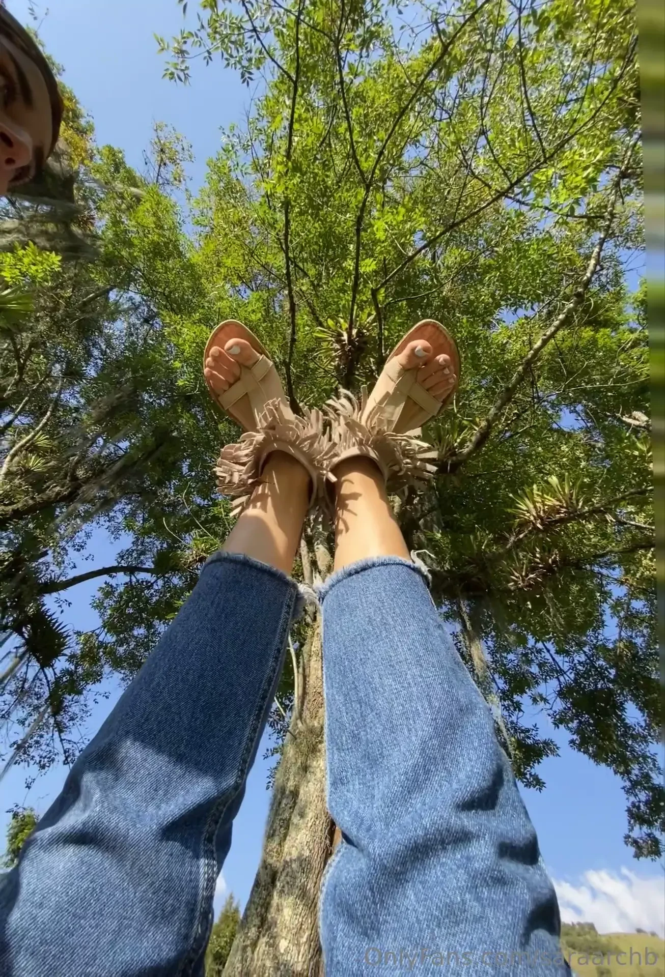 En el glorioso campo 