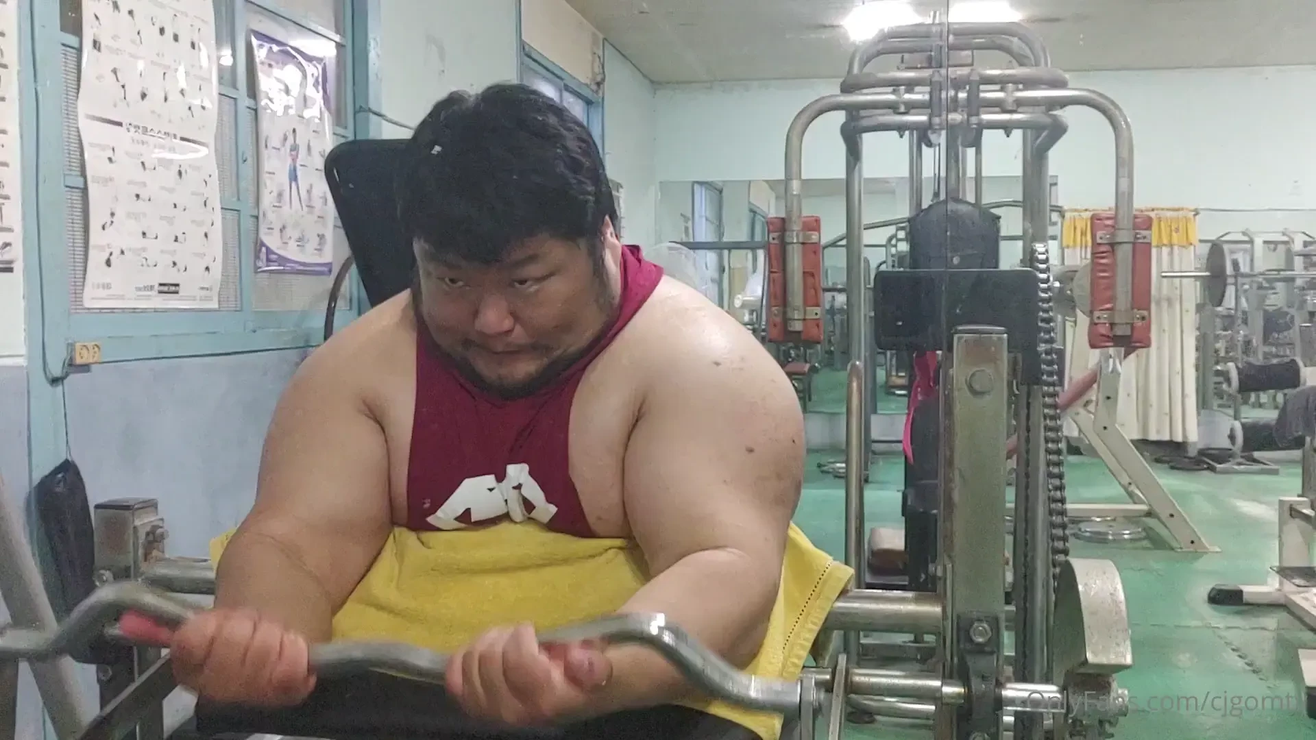 Youtube 20 rep ver amp longer 40 rep ver 