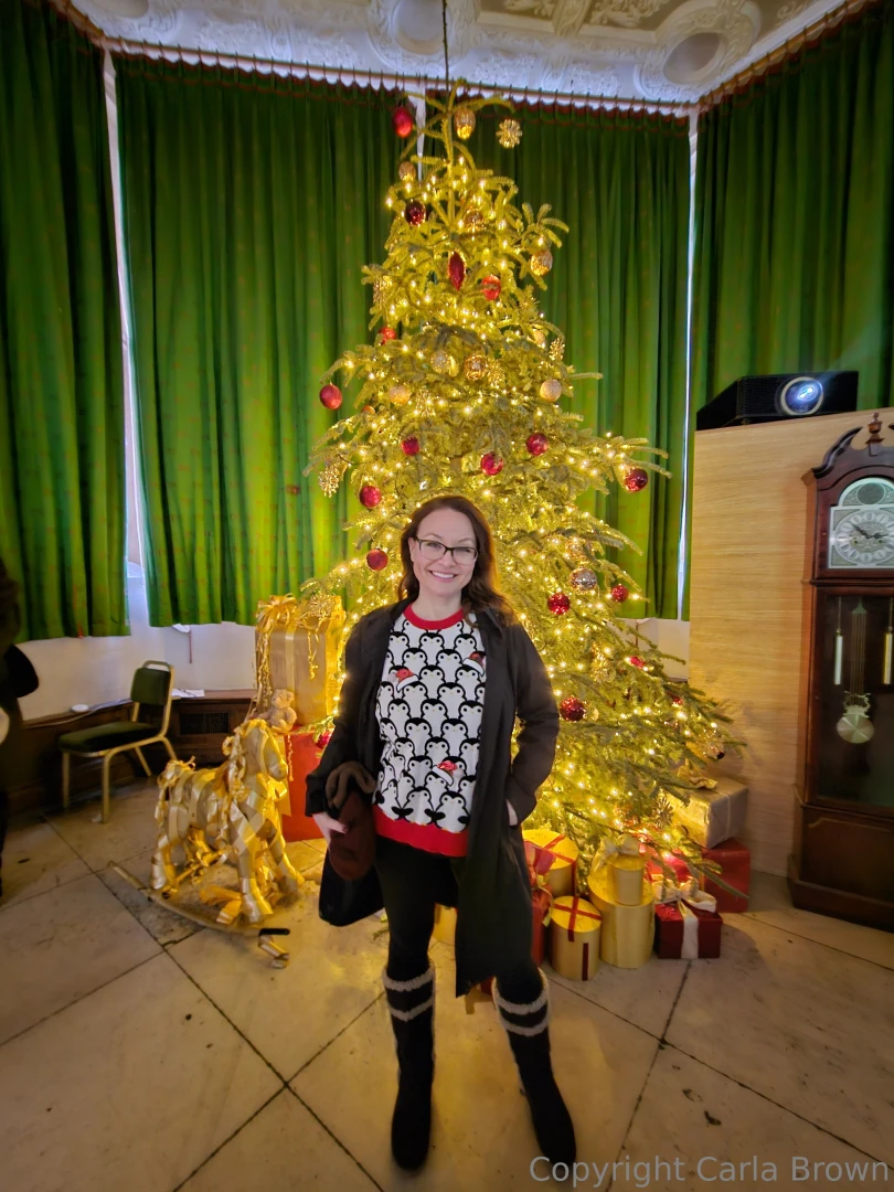 The obligatory posing in front of a christmas tree shot 