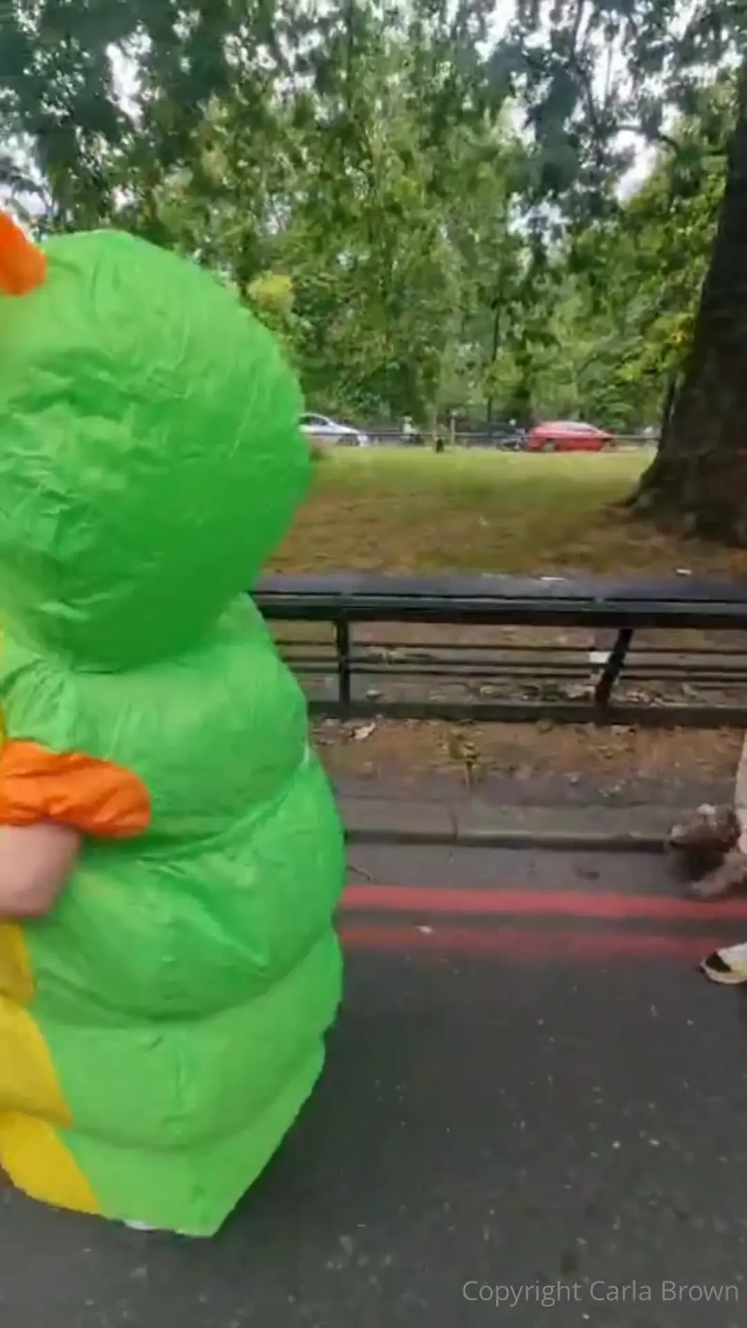 Silly saturday here s more of that super sexy caterpillar content you 
