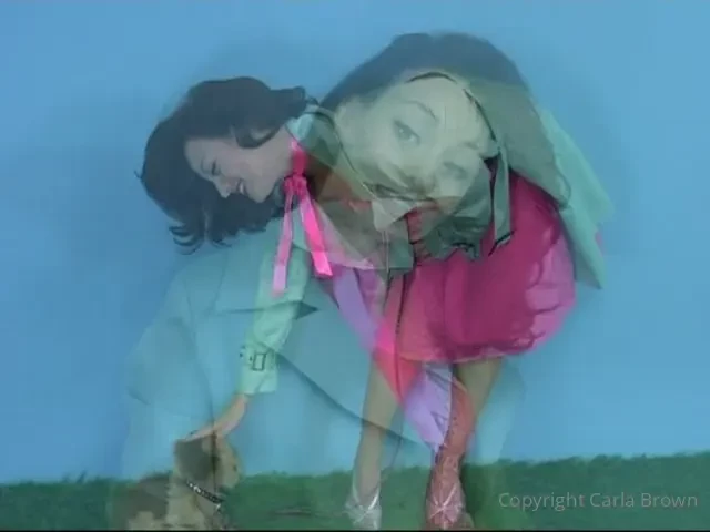 Throwback thursday i m getting a rescue dog in a couple of weeks so i 