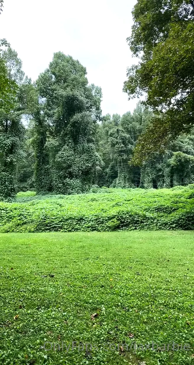 Went trail riding with my dad today at wind rock in oliver springs tn part 2 
