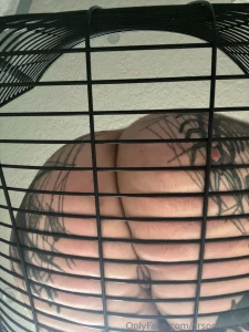 Metal chairs are kind of fun