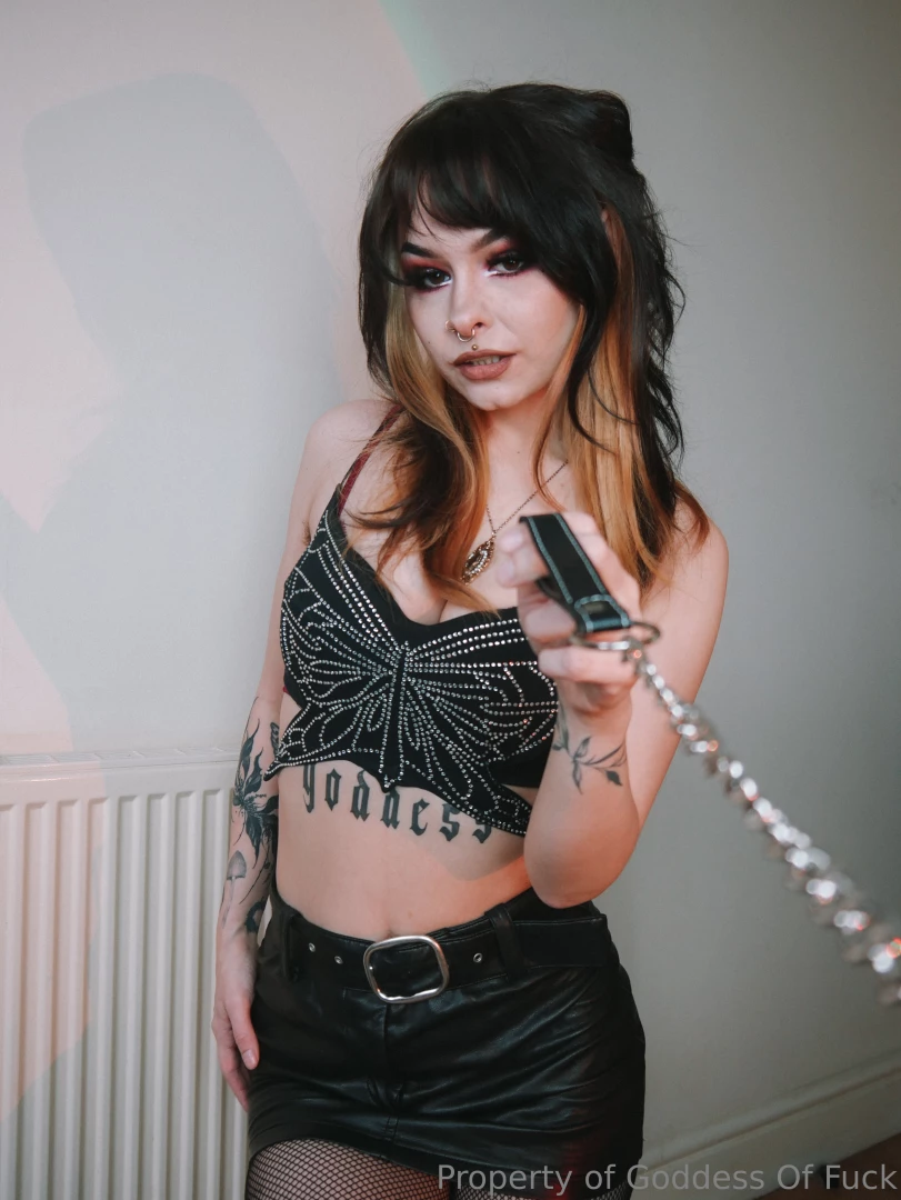 Such a good pet now bark for me 