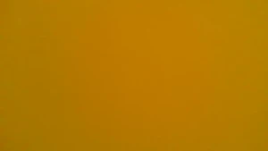 Text quiz 10 video 10 pictures 10 gifs audio fundraisingtext quiz 10