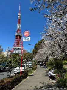 Lifestyle post breaking up my dildo pussy smashing posts with just