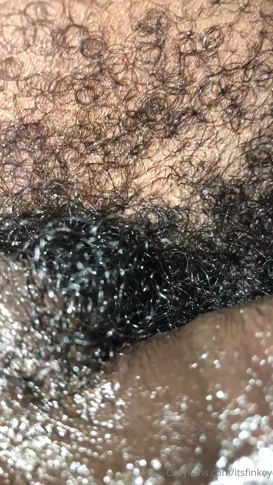 I had a chubby bear that wanted to link link with me and do car play 