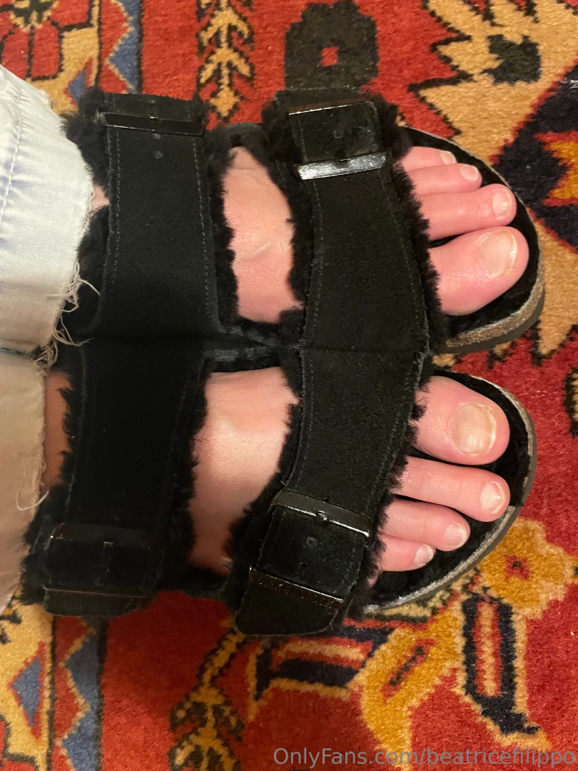 Beatrice s birkenstock 