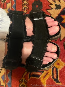 Beatrice s birkenstock