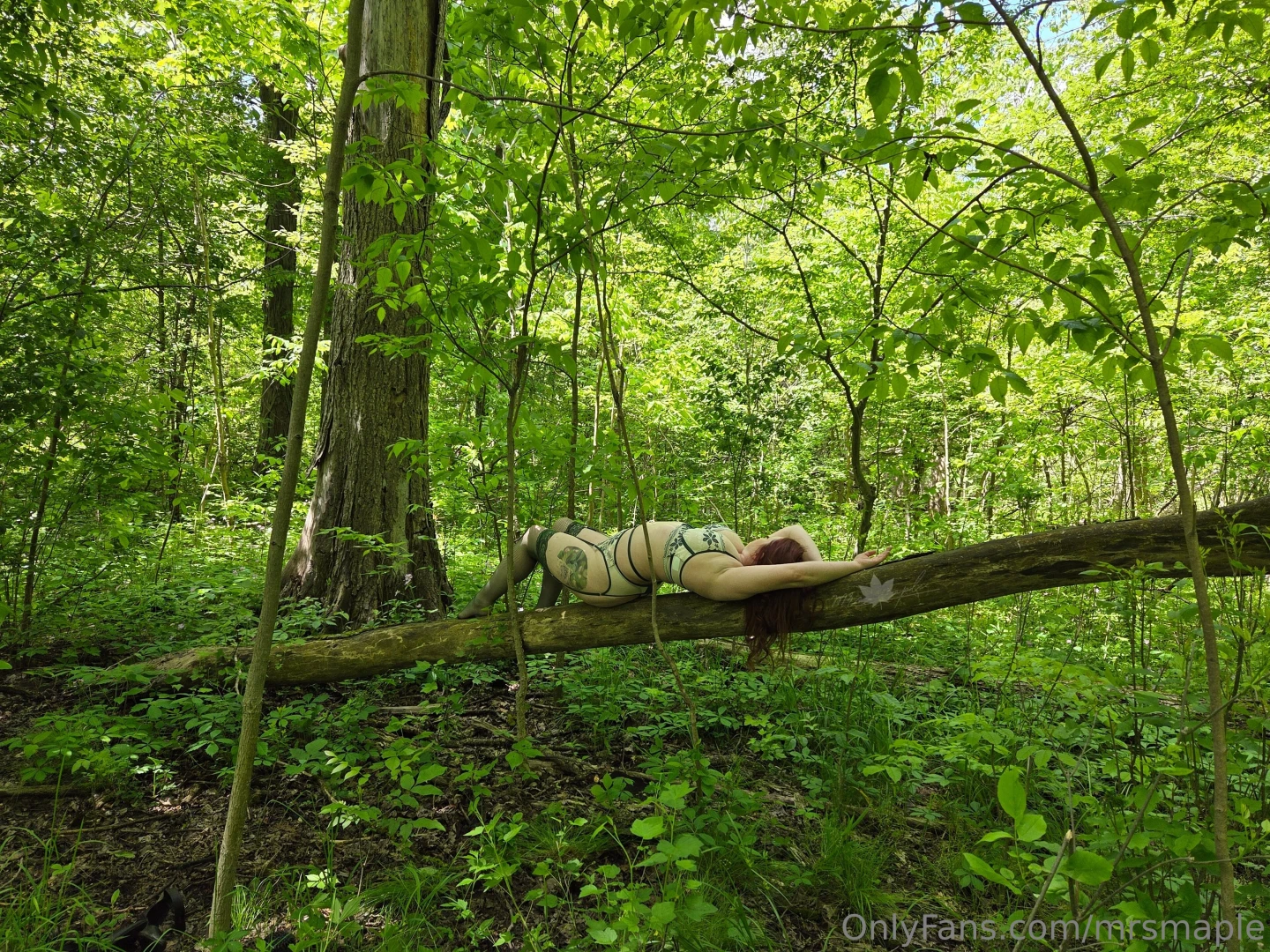 Still away for the day bare with me btw if i m going to reply it is to 