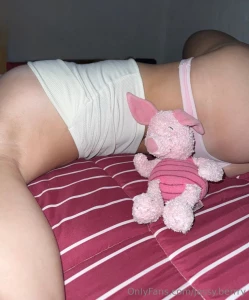 Baby pig