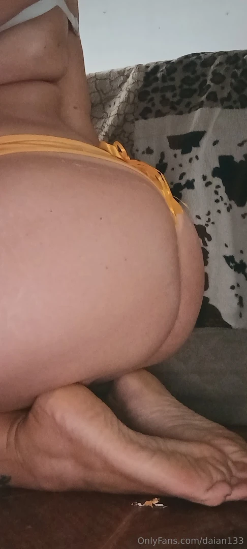 Another survey ass or boobs 