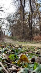 Just a little run on the trail