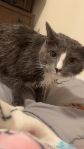 Gave my pussys a bath part 1