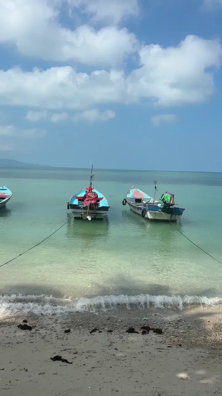 Incredible beach vibe 