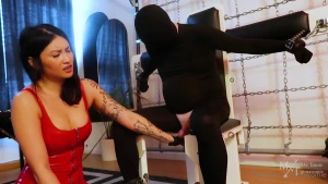 Stomped crushed kicked slapped mercilessly pounding my subs nuts is