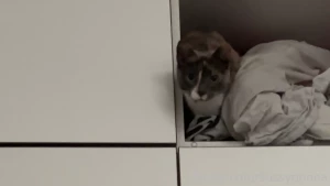 I tried recording more irl content for y all but i can t even goon in